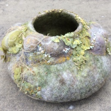 Lumpy Bowl with Lichen